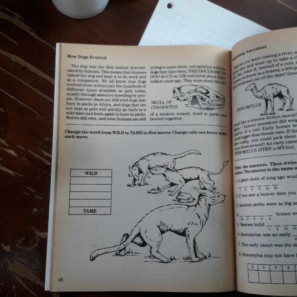 Prehistoric Animals Activity Book | homeschool - Picture 5 of 5